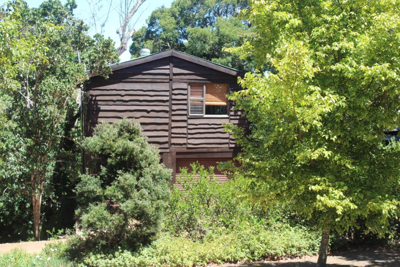 Treehouse Cottage The Crags Екстер'єр фото